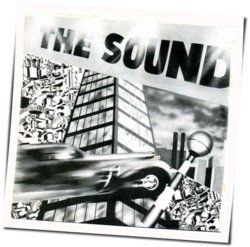 Physical World Bass Tab by The Sound