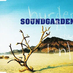Burden In My Hand Bass Tab by Soundgarden
