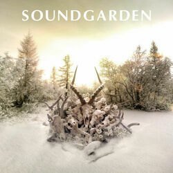 Bones Of Birds by Soundgarden