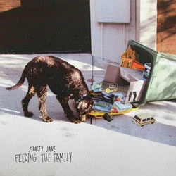 Feeding The Family Tab by Spacey Jane