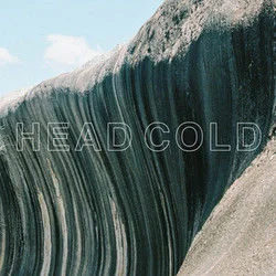 Head Cold Bass Tab by Spacey Jane