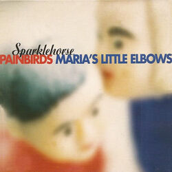 Painbirds Bass Tab by Sparklehorse