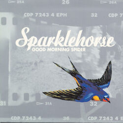 Saint Mary Chords by Sparklehorse