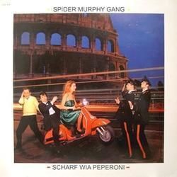 Unterm Kastanienbaum Chords by Spider Murphy Gang