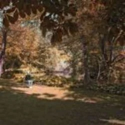 Picasso Chords by Spinvis