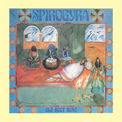 Runaway Chords by Spirogyra