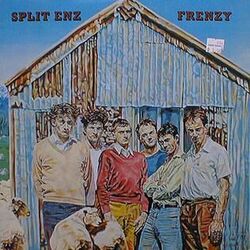 Hermit Mcdermitt Chords by Split Enz