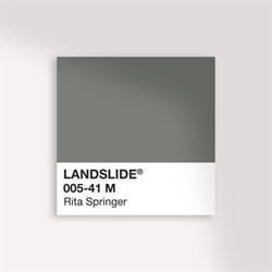 Landslide by Rita Springer