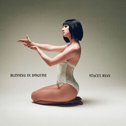 The Things That You Do Chords by Stacey Ryan