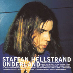 Regnbågen Chords by Staffan Hellstrand