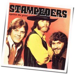 You Got To Go Chords by Stampeders