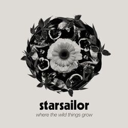 Dead On The Money by Starsailor