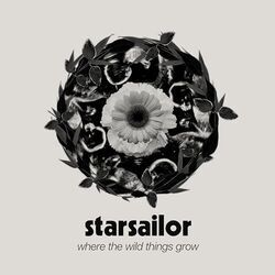 Dead On The Money Chords by Starsailor