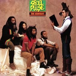 Blues Dance Raid Bass Tab by Steel Pulse