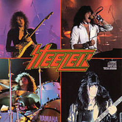 Down To The Wire Bass Tab by Steeler