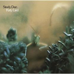 Chain Lightning Chords by Steely Dan