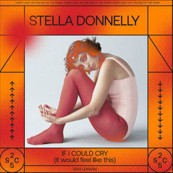 If I Could Cry It Would Feel Like This Chords by Stella Donnelly