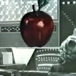 Escape Pod From The World Of Medical Observations Chords by Stereolab