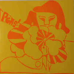 You Little Shits Chords by Stereolab