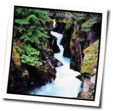 Daytime Chords by Cat Stevens