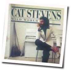 Wild World Chords by Cat Stevens