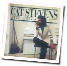 Wild World by Cat Stevens