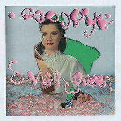 Goodbye Evergreen Chords by Sufjan Stevens