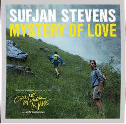 Mystery Of Love by Sufjan Stevens