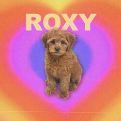 Roxy Chords by Johnny Stimson