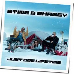 Just One Lifetime (feat. Shaggy) Chords by Sting