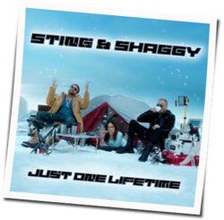 Just One Lifetime Chords by Sting