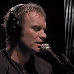 Shape Of My Heart Acoustic Tabs by Sting