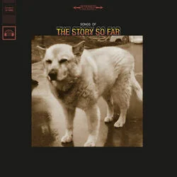 Navy Blue Tab by The Story So Far