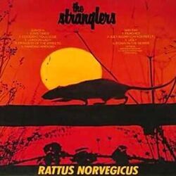 Down by The Stranglers