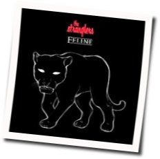 Midnight Summer Dream Chords by The Stranglers