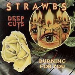 Heartbreaker Chords by Strawbs