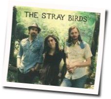 Dream In Blue Chords by The Stray Birds