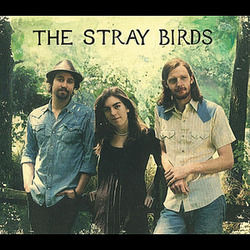 Wind And The Rain Chords by The Stray Birds