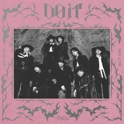 신선놀음 Divine by Stray Kids