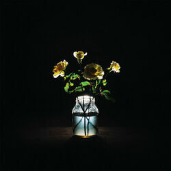 In The Morning Light Intro by Billy Strings