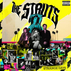 Am I Talking To The Champagne Or Talking To You Chords by The Struts