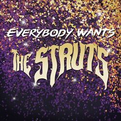 She Makes Me Feel Like Chords by The Struts