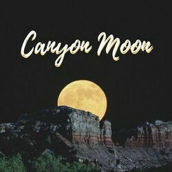 Canyon Moon by Harry Styles