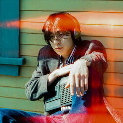 Petals Chords by Suave Punk