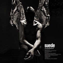 Antidepressants Chords by Suede