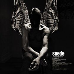 Dancing With The Europeans Tab by Suede