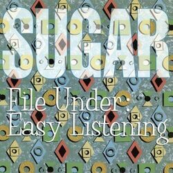 After All The Roads Have Led To Nowhere Chords by Sugar