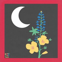 Better by Summer Salt