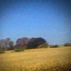 Jim Wise Tab by Sun Kil Moon