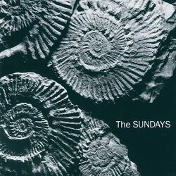 I Kicked A Boy Chords by The Sundays